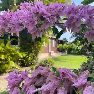 https://eden-crole.comcaribbean.com